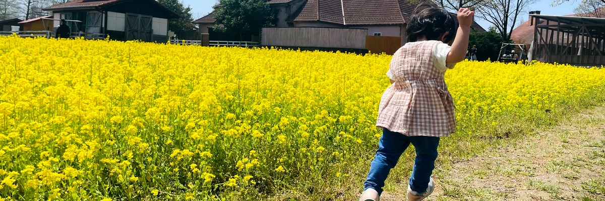 滋賀発＊子連れドライブ旅